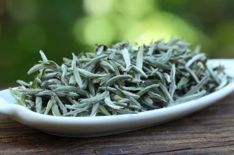 Silver needles Bai Hao Yin Zhen white tea Fuding, Fujian province