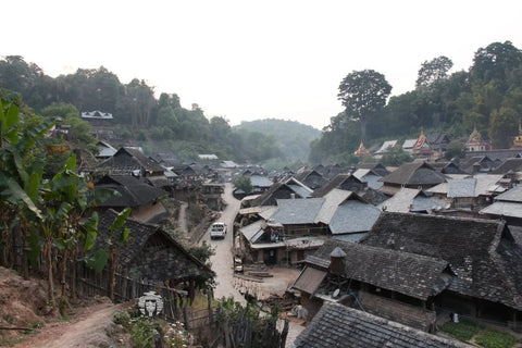 Jingmai one thousand year old ancient puerh tea vilalge