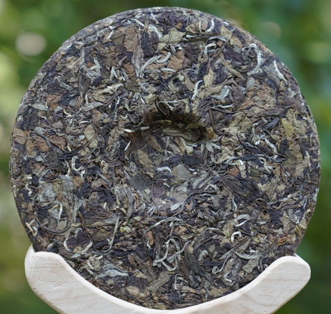 2013 Vintage Fuding White Peony White Tea Bai Mu Dan Nature’s Beauty Cake