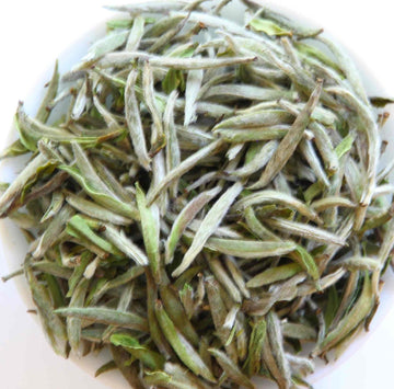 White Tea - 2024 Top Grade Fuding Silver Needles White Tea Bai Hao