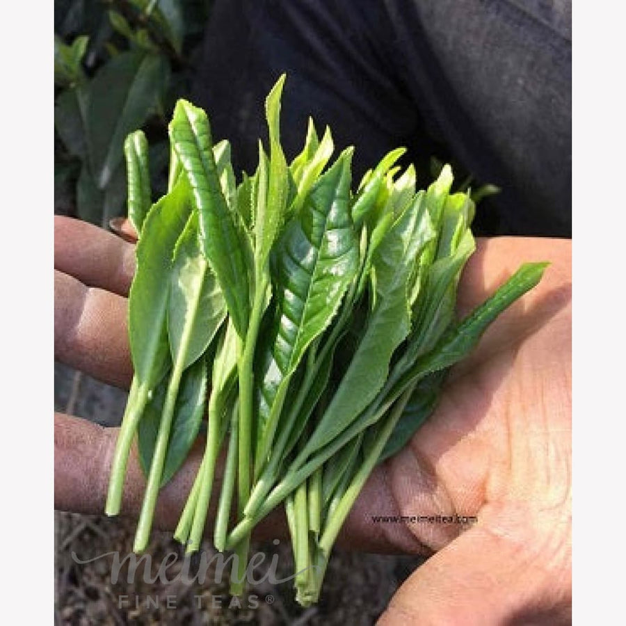 https://www.meimeitea.com/cdn/shop/products/artisan-top-grade-tai-ping-hou-kui-monkey-king-green-tea-meimei-fine-teas-ingredient-leaf-vegetable-908_900x.jpg?v=1700703562